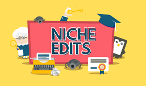 Top Trends and Best Practices for Niche Edits
